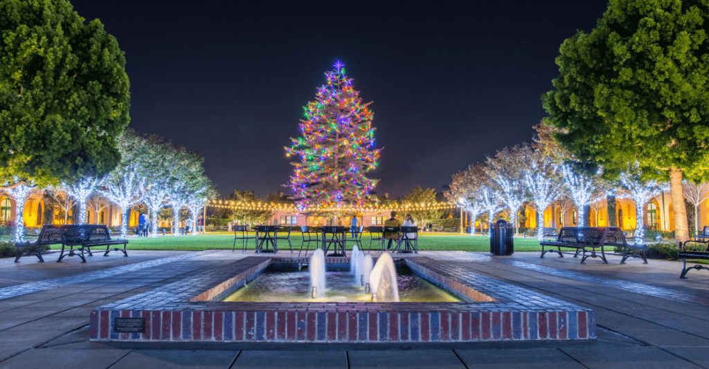 Liberty Station Christmas Tree San Diego