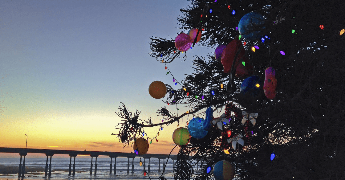 Christmas Tree in Ocean Beach, San Diego